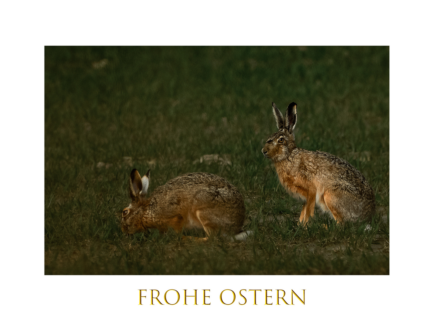 Frohe Ostern