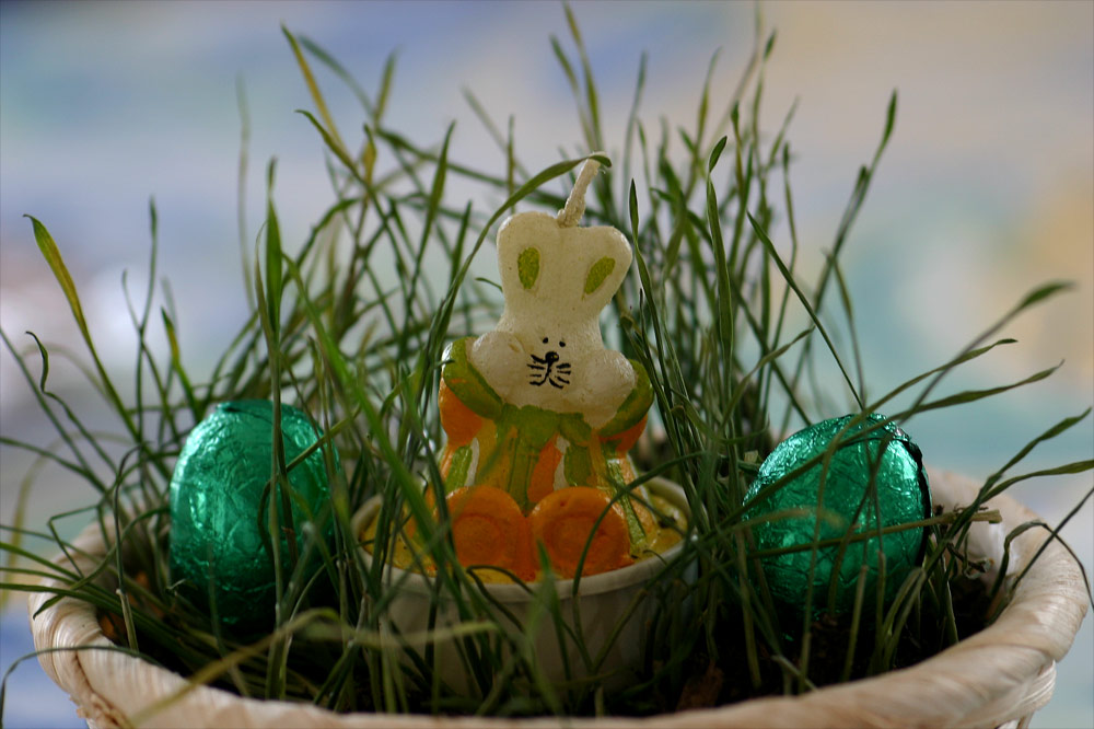 Frohe Ostern!