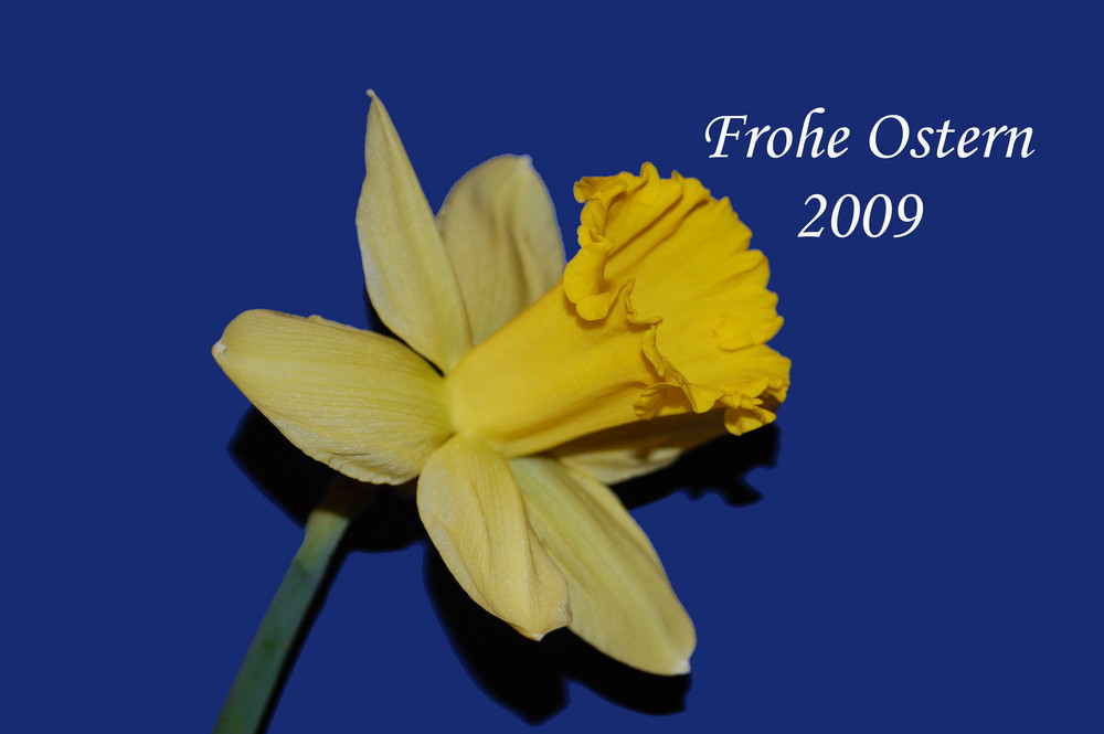 Frohe Ostern