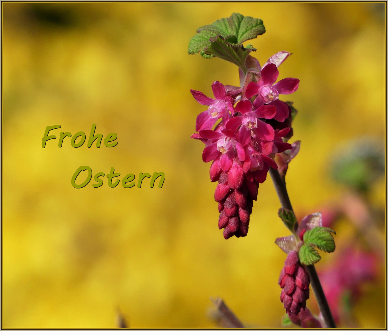 Frohe Ostern