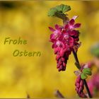 Frohe Ostern