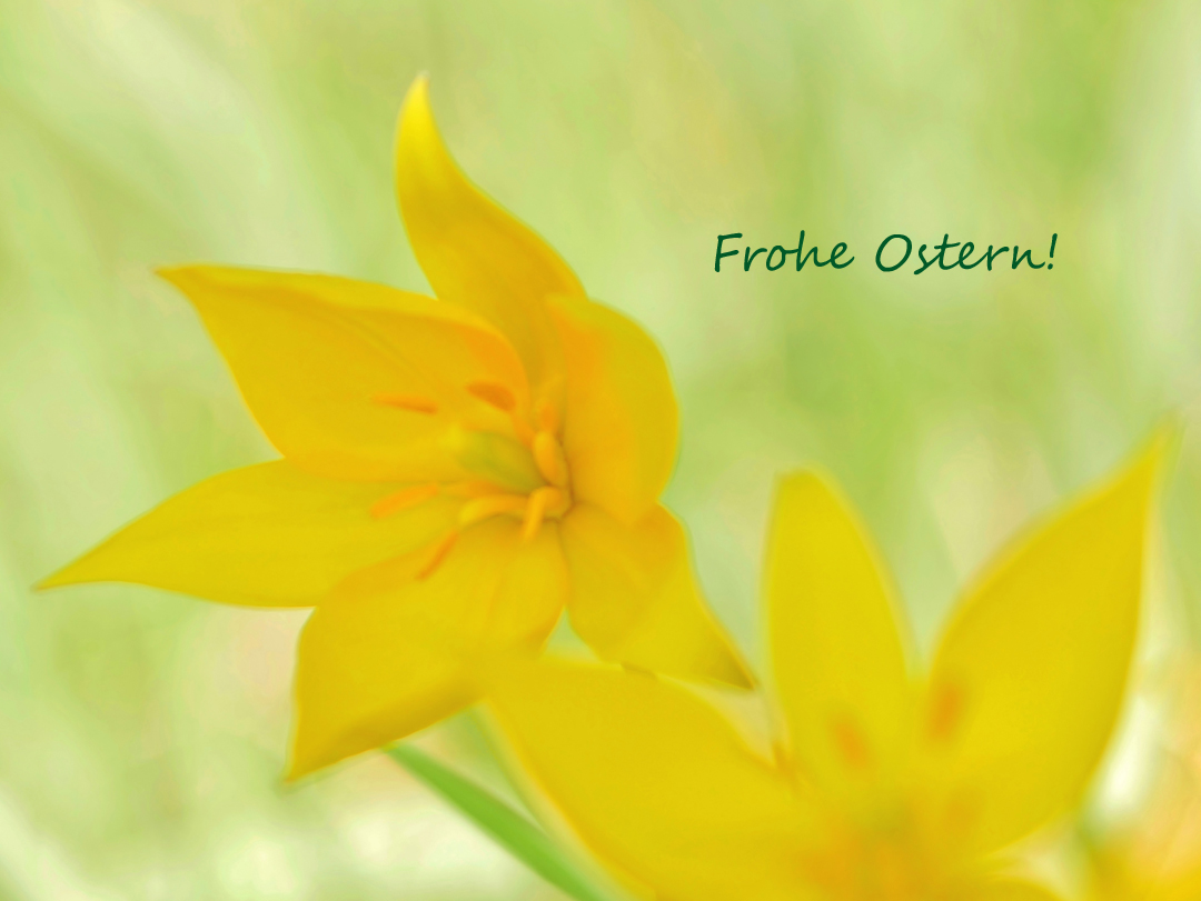 Frohe Ostern 