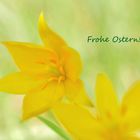 Frohe Ostern 