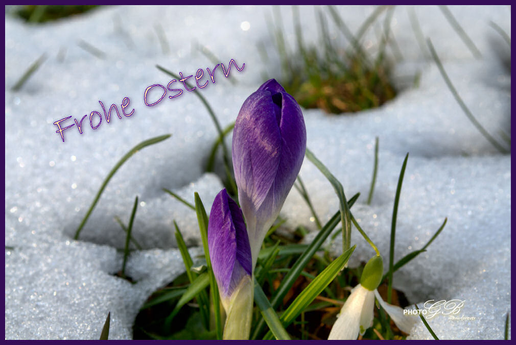 Frohe Ostern