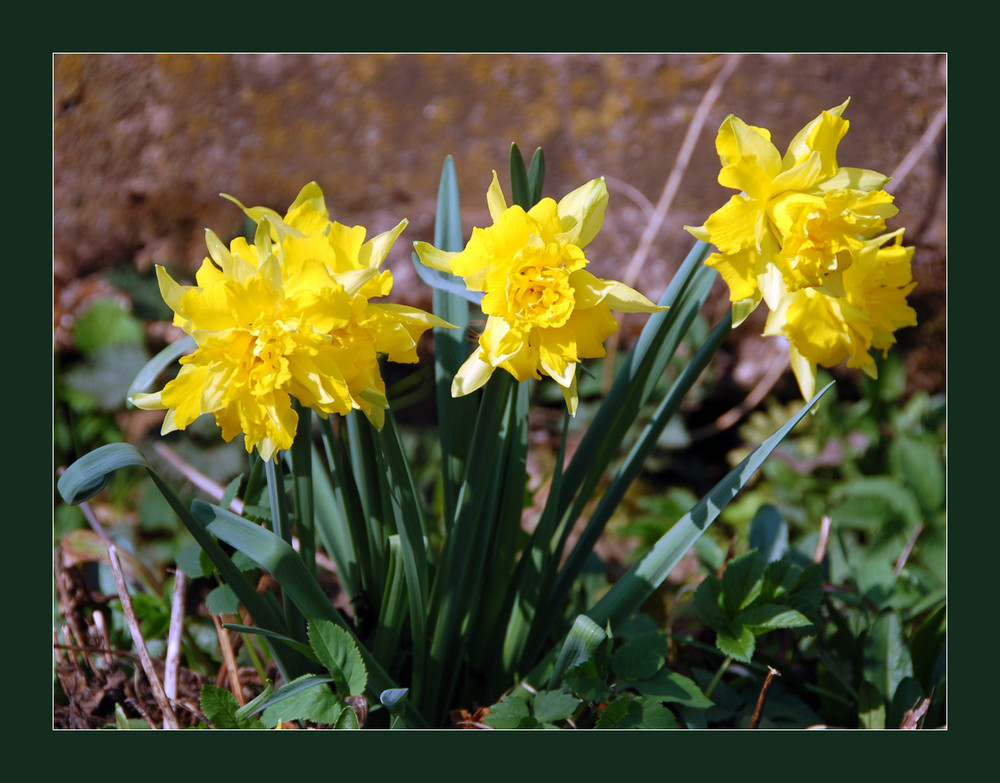 Frohe Ostern...