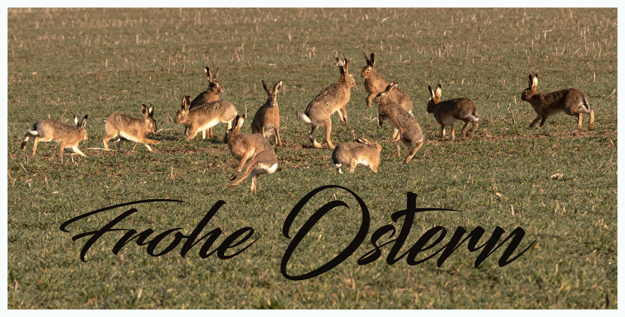 Frohe Ostern