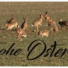 Frohe Ostern