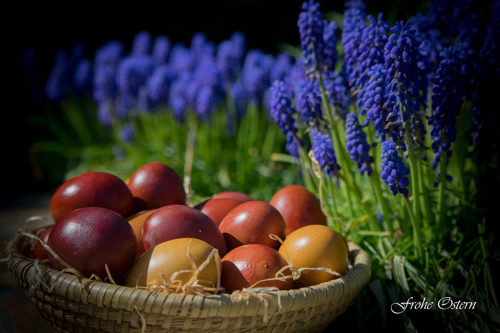 Frohe Ostern...