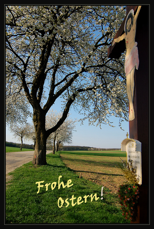 Frohe Ostern!