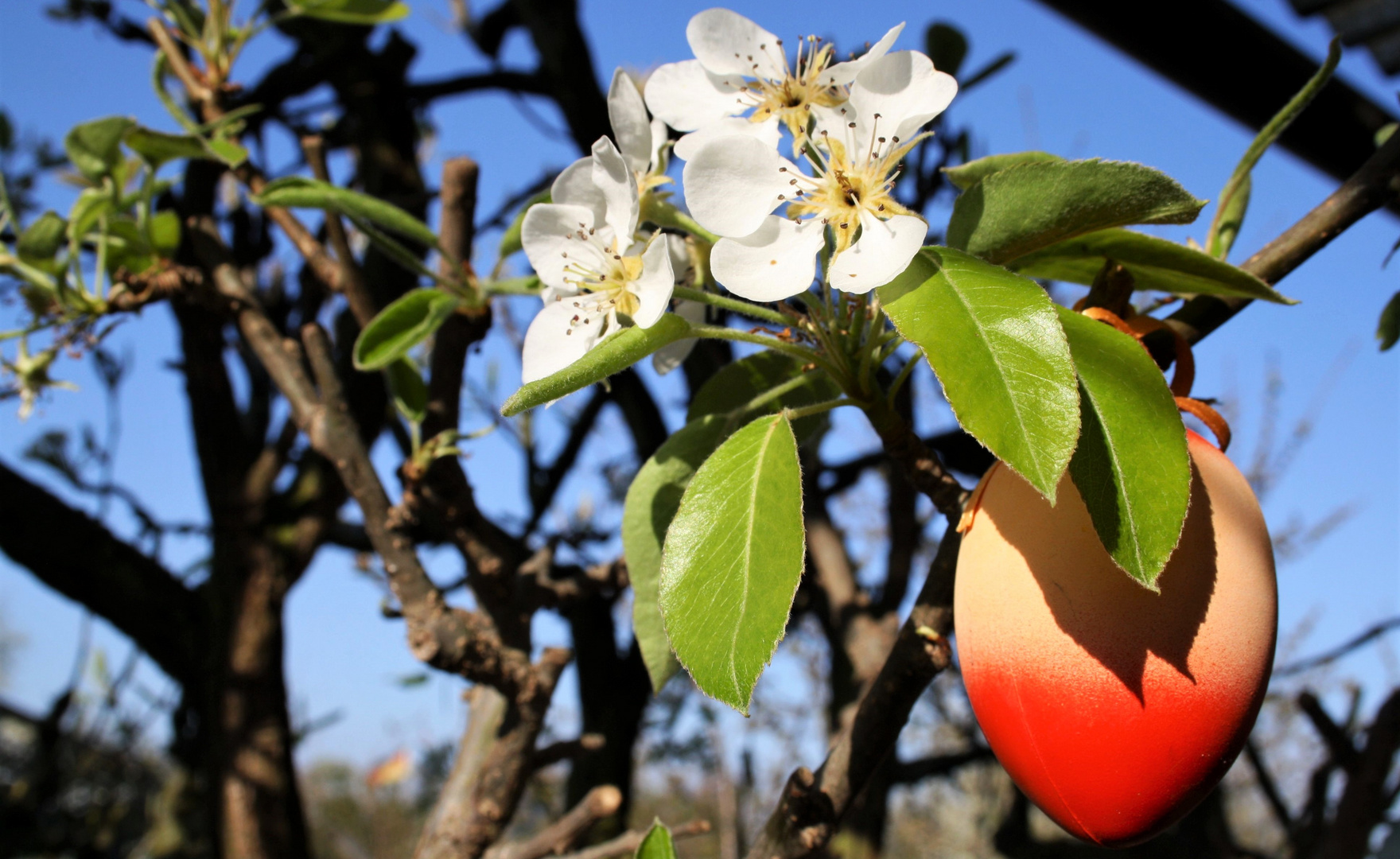 Frohe Ostern