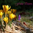 Frohe Ostern