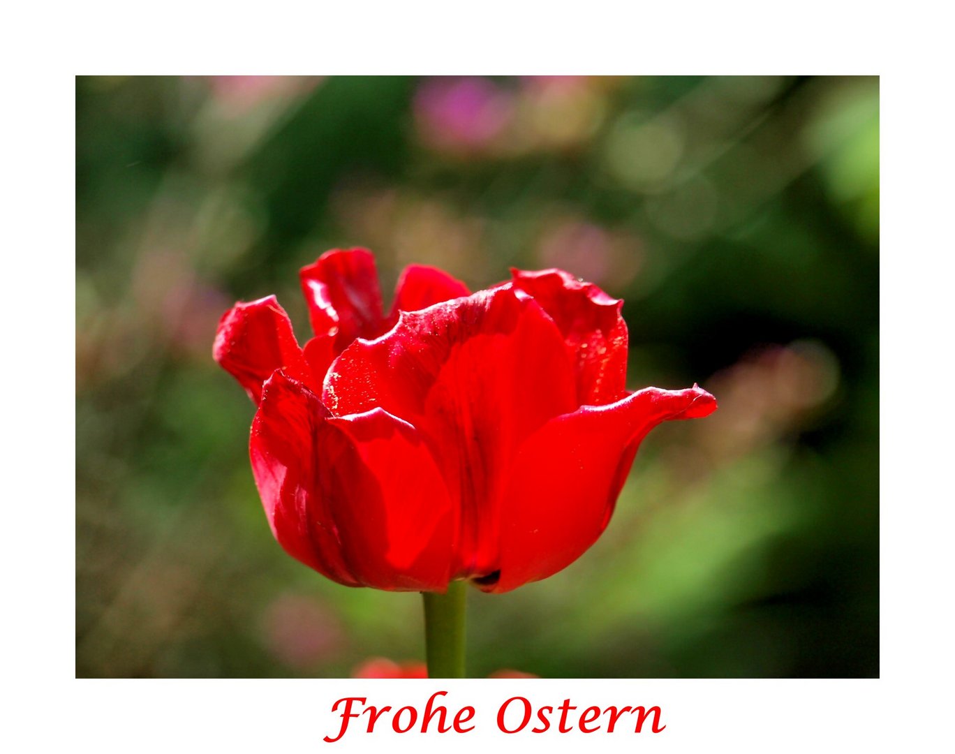 FROHE OSTERN