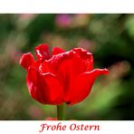 FROHE OSTERN