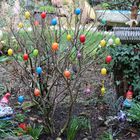 Frohe Ostern