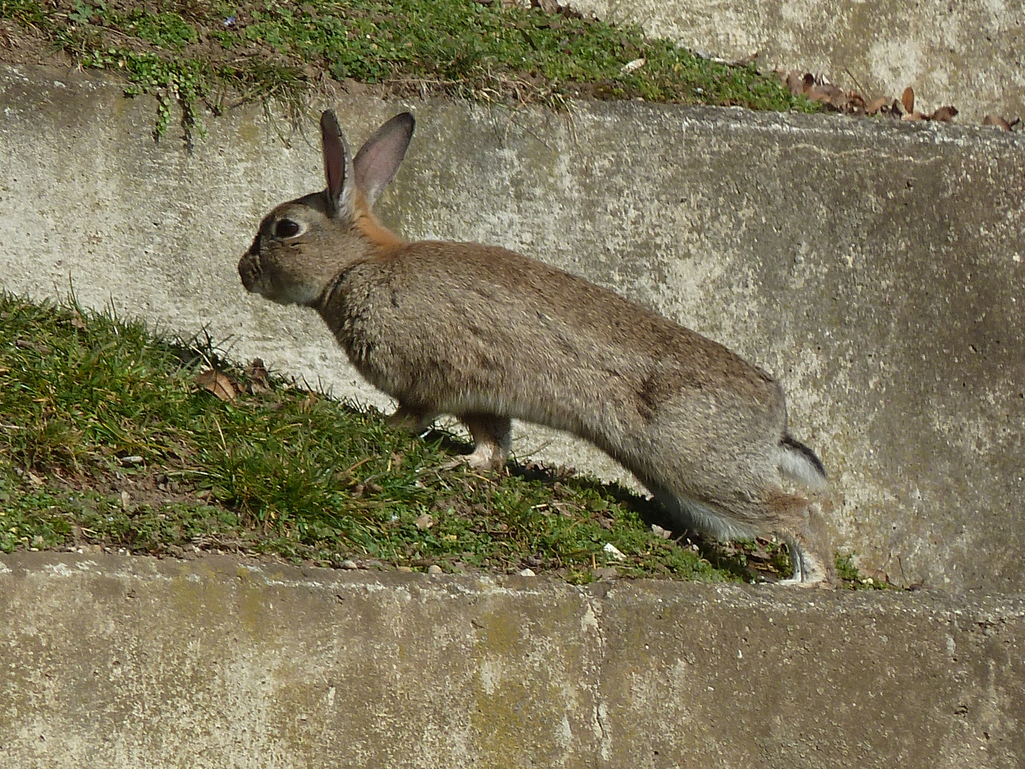 Frohe Ostern