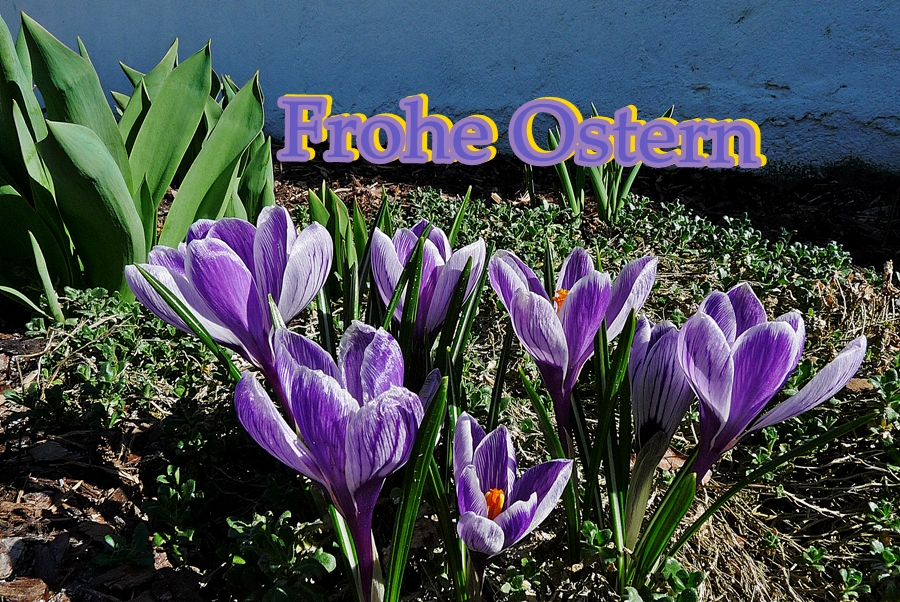 Frohe Ostern