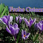 Frohe Ostern