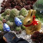 Frohe Ostern DSC04169