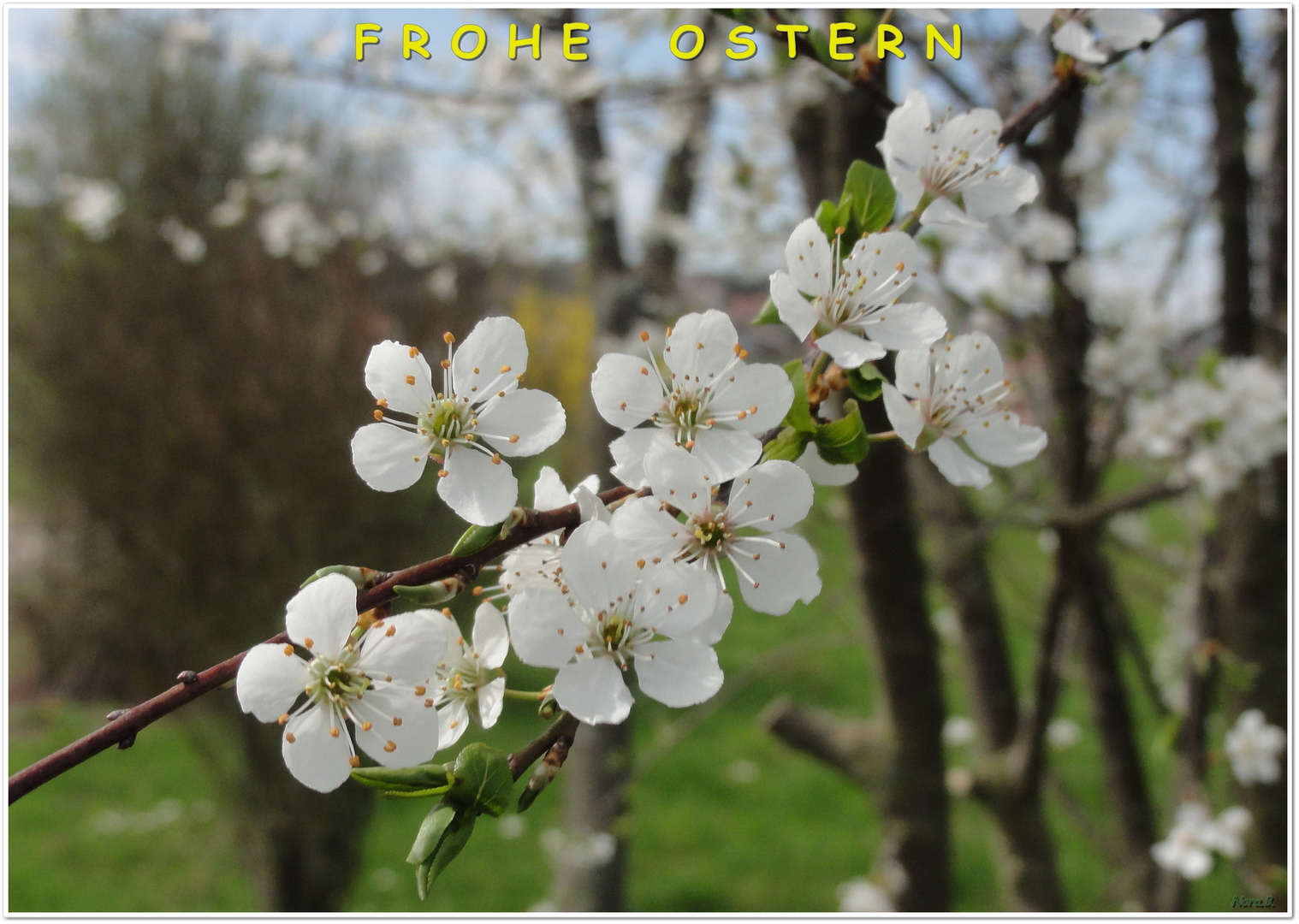 Frohe Ostern