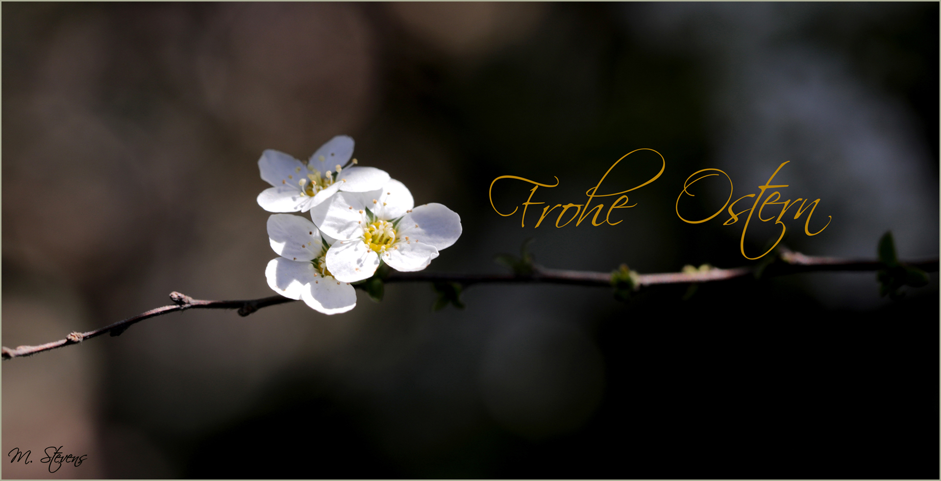 Frohe-Ostern