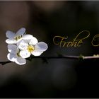 Frohe-Ostern