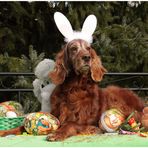 *Frohe Ostern*