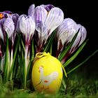 Frohe Ostern :-)