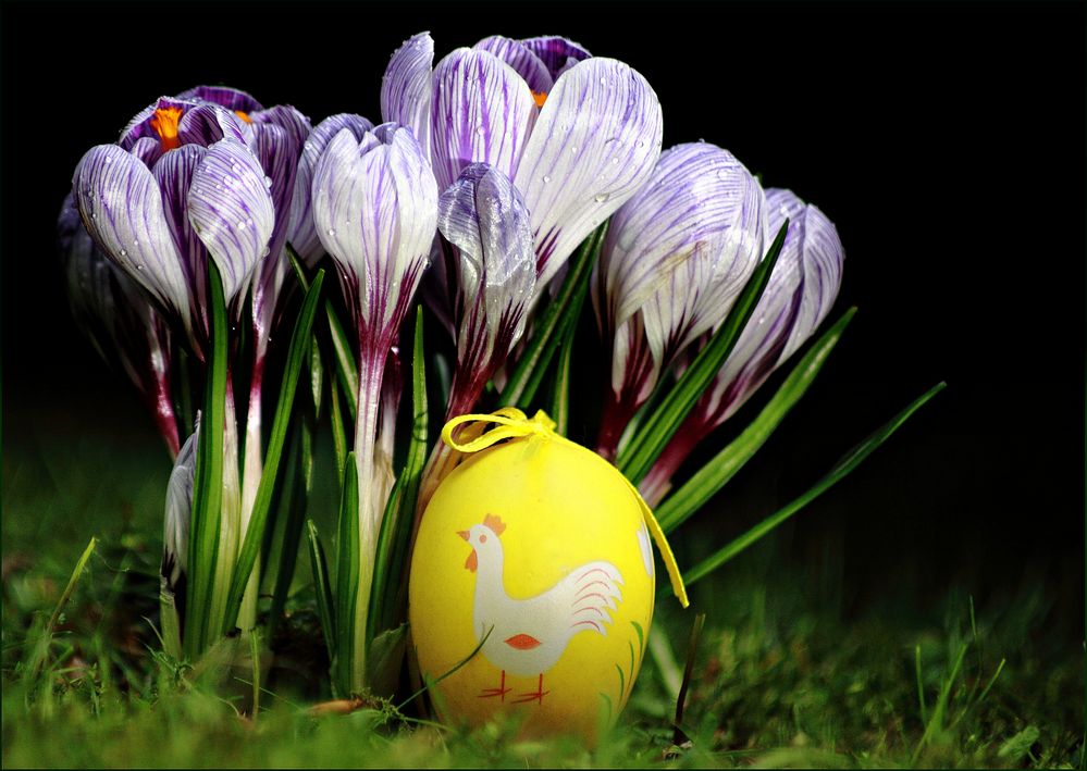 Frohe Ostern :-)