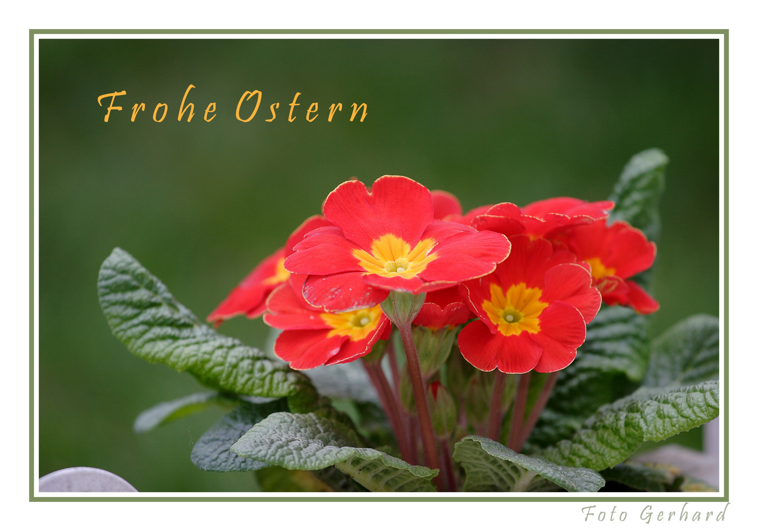 Frohe Ostern