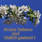 Frohe Ostern.....