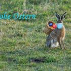 Frohe Ostern 