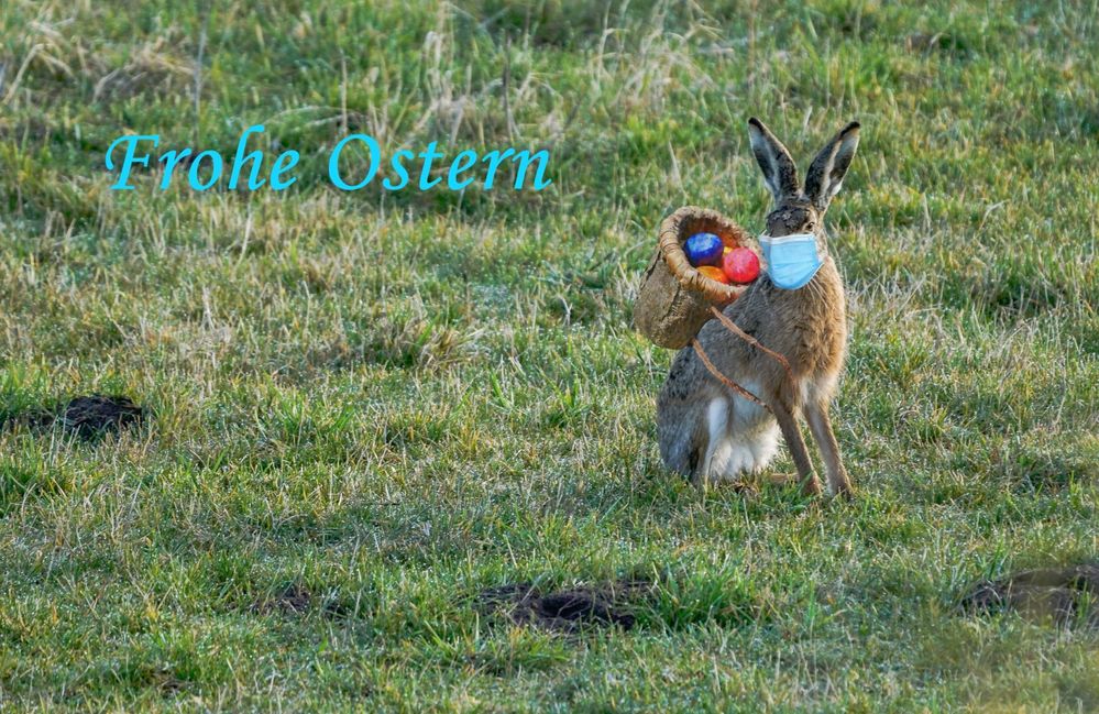 Frohe Ostern 