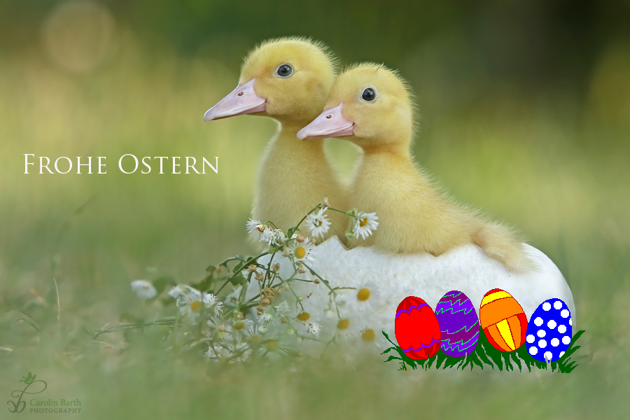 Frohe Ostern ...