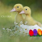 Frohe Ostern ...