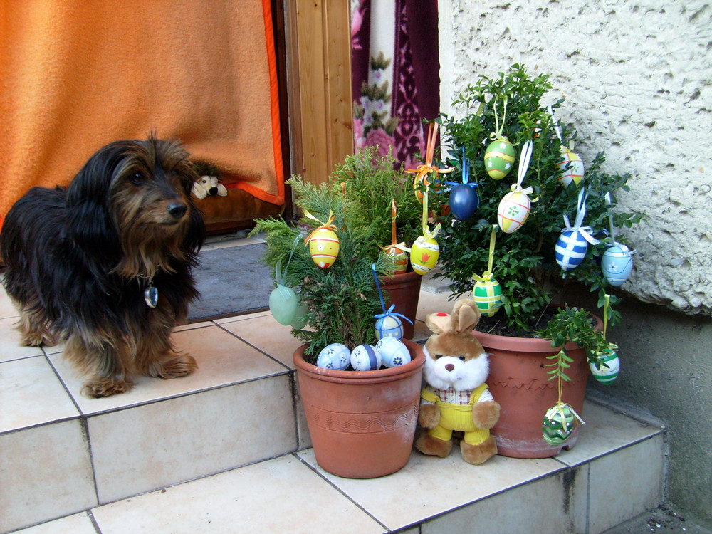 Frohe Ostern!!