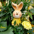 Frohe Ostern