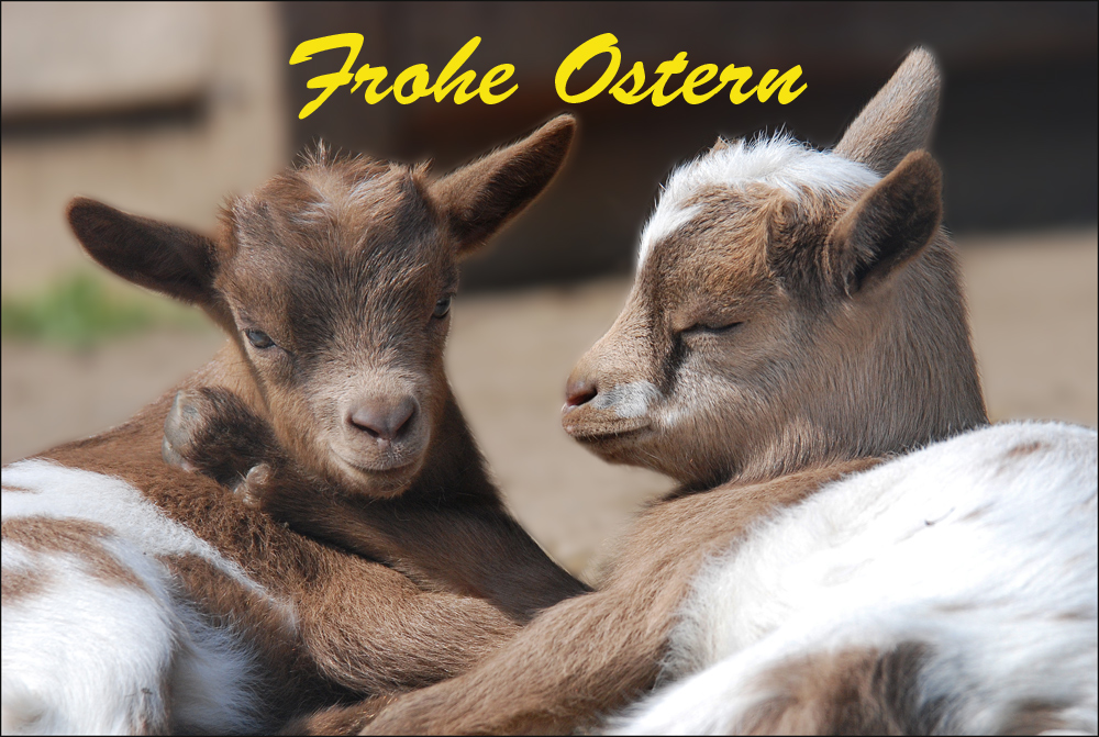 Frohe Ostern