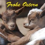 Frohe Ostern