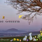 FROHE OSTERN