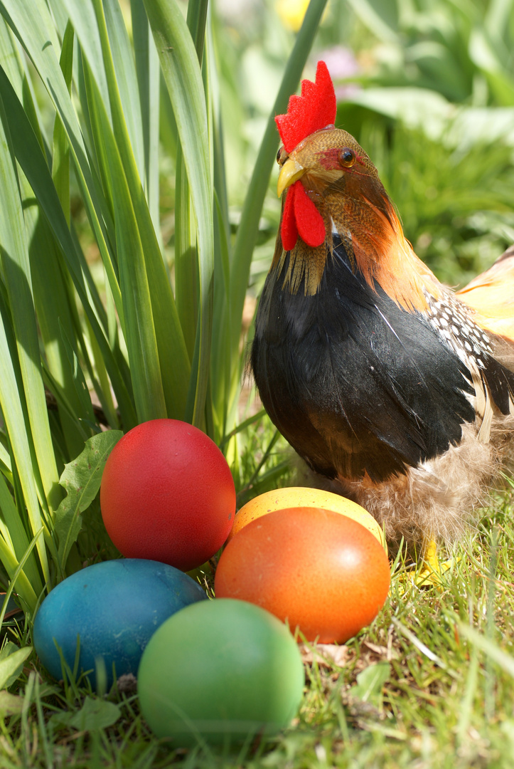 Frohe Ostern!