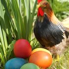 Frohe Ostern!