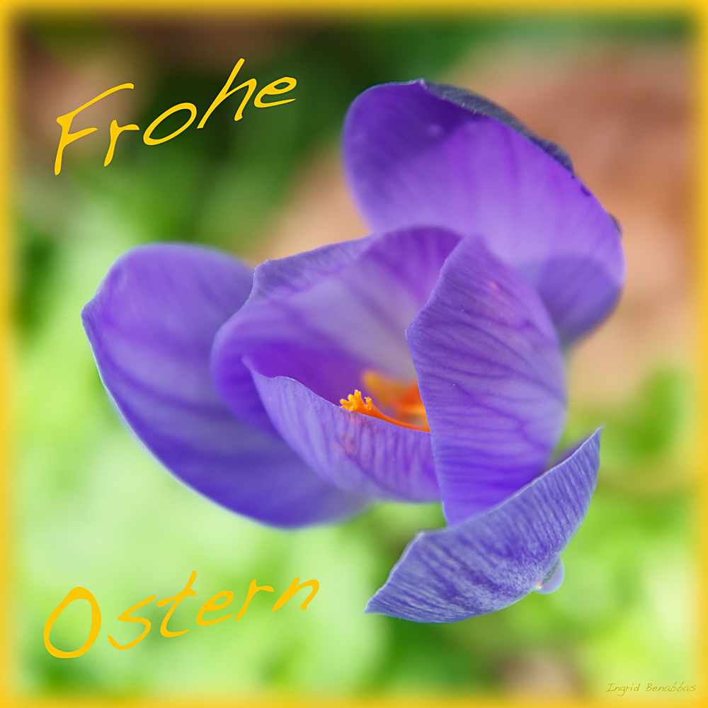 Frohe Ostern