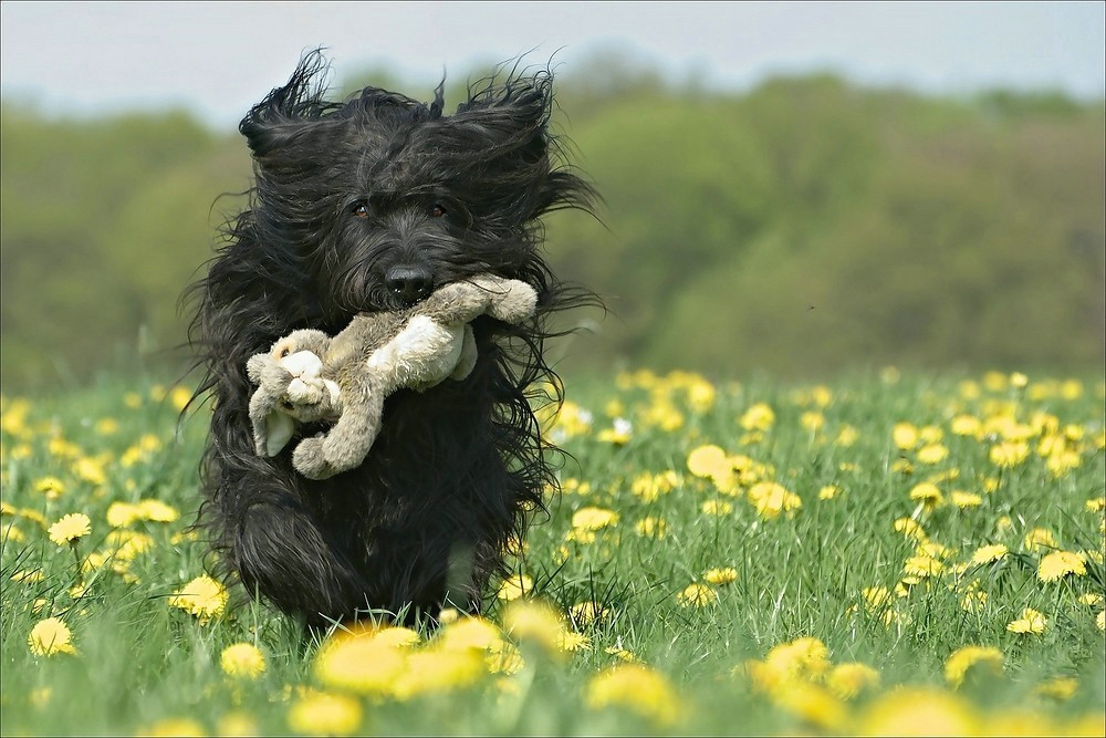 Frohe Ostern