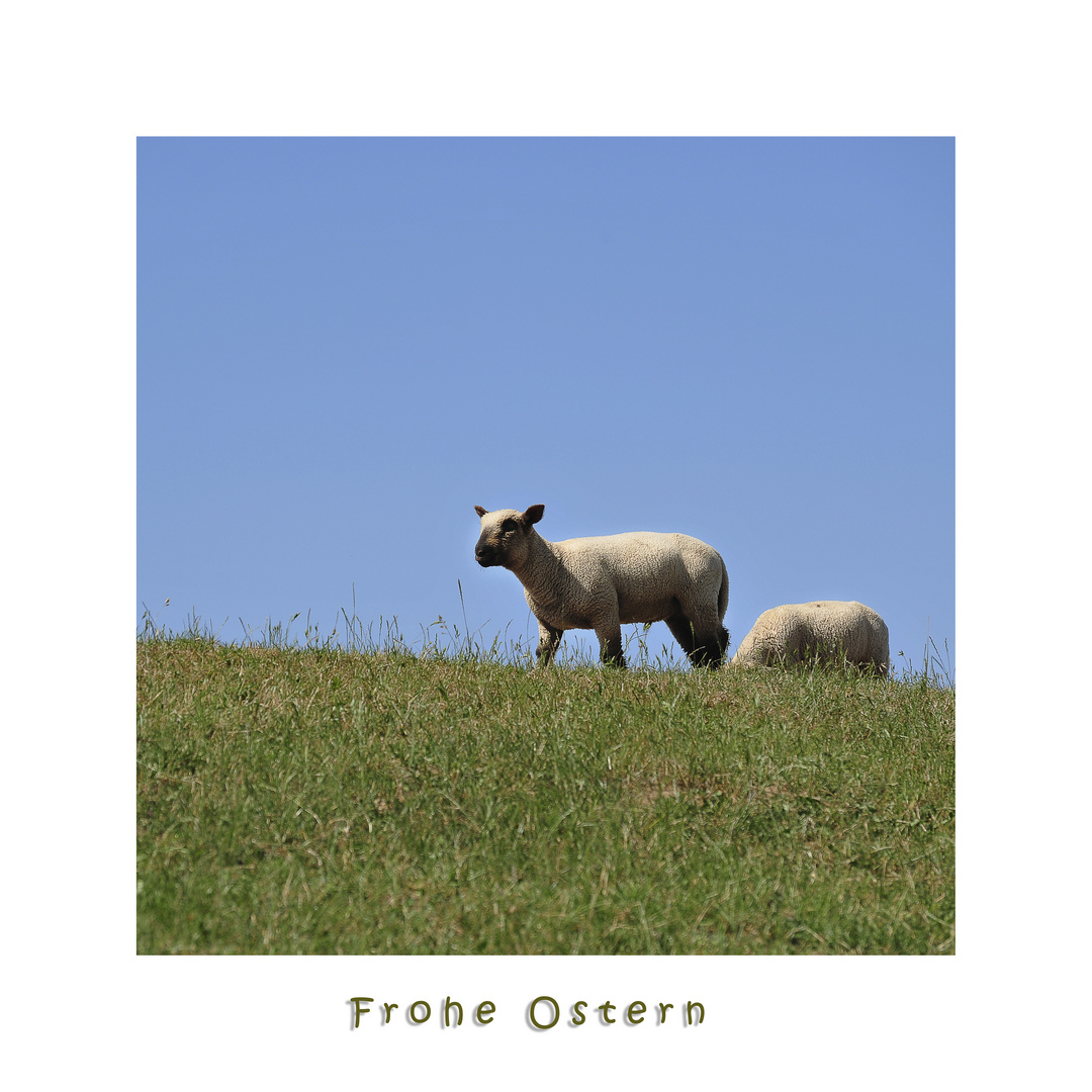 Frohe Ostern.....