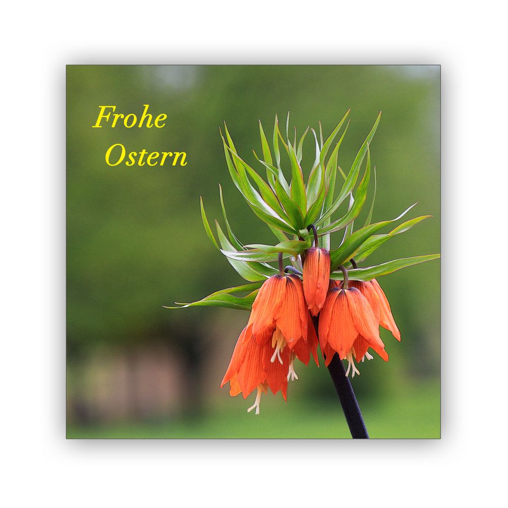 Frohe Ostern