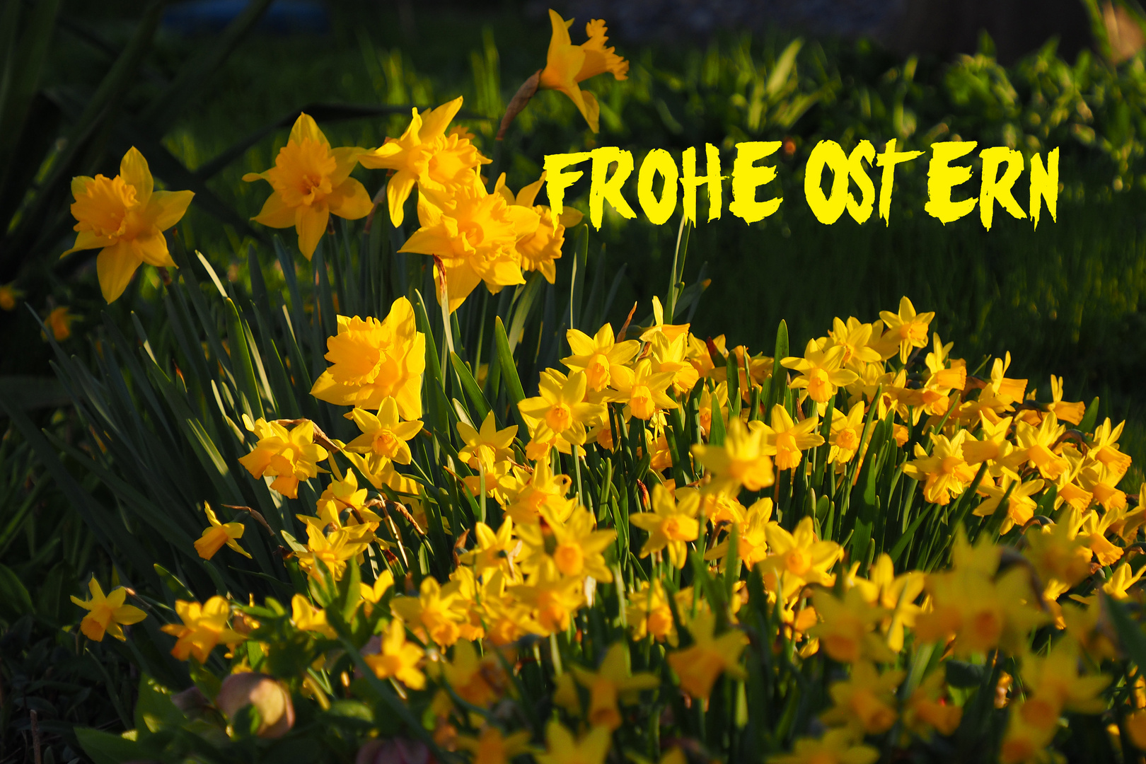 frohe ostern