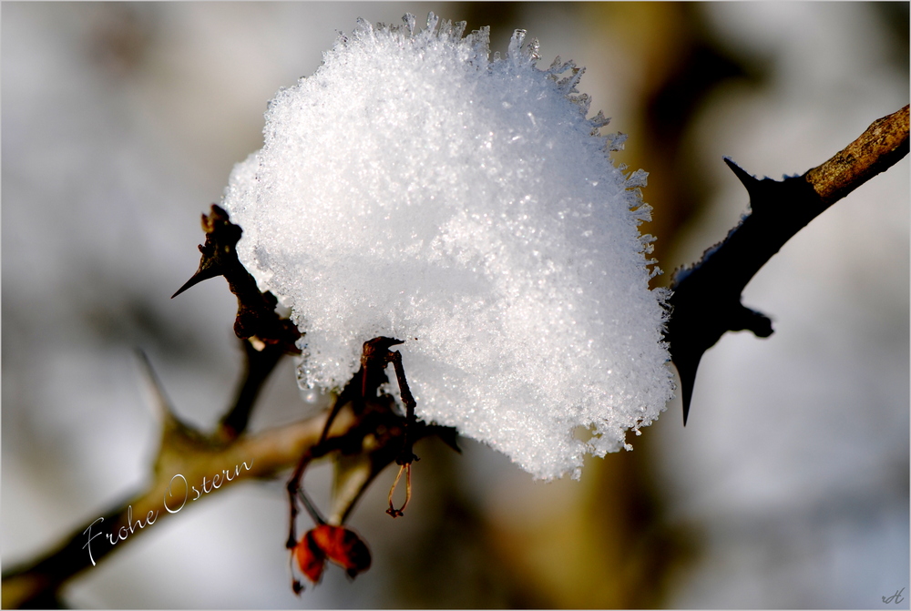 Frohe Ostern