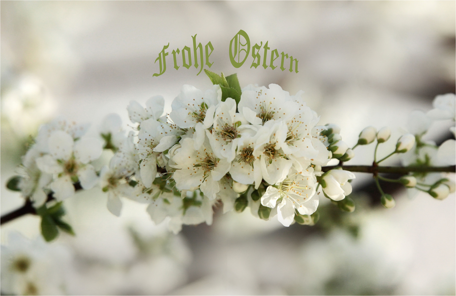 Frohe Ostern!