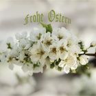 Frohe Ostern!