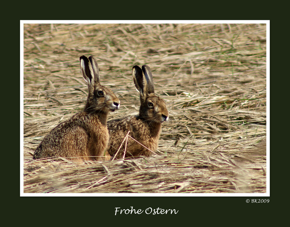 Frohe Ostern